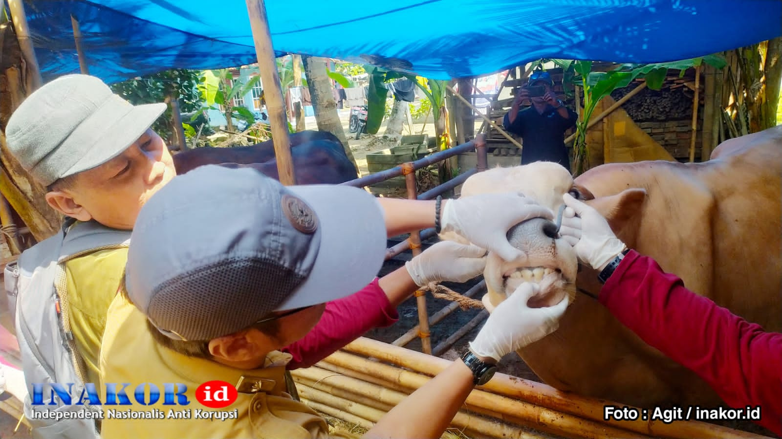 Distan Pangandaran Siapkan Petugas Untuk Pengawasan Pengendalian